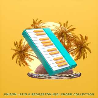 Latin & Reggaeton MIDI Chord Collection