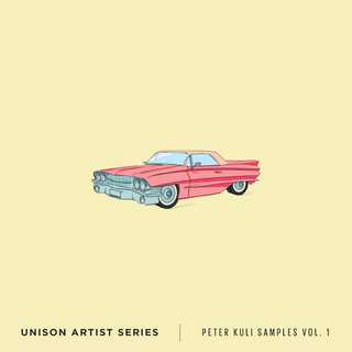 Artist Series - Peter Kuli Samples Vol. 1