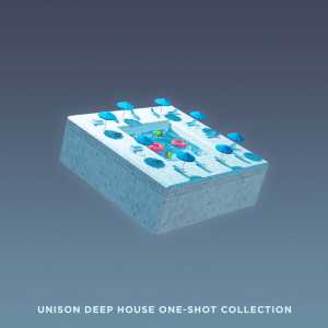 Deep House One-Shot Collection